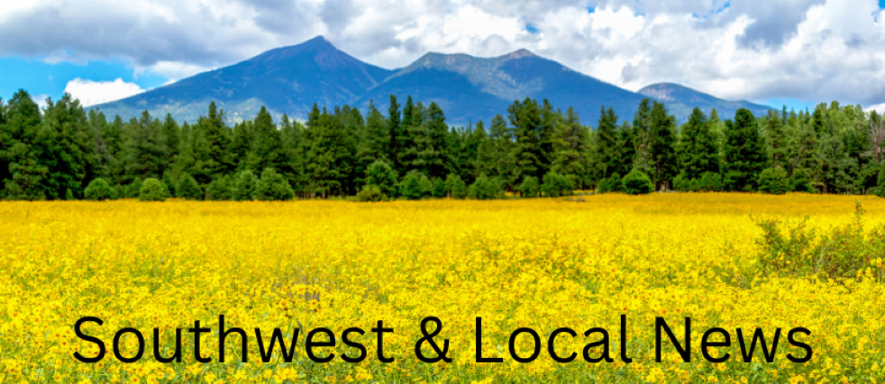 Image of Flagstaff Mountains with pine trees and sunflowers in the foreground. Text reads "Southwest & Local News"