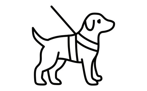 Image of a dog wearing a vest and a leash