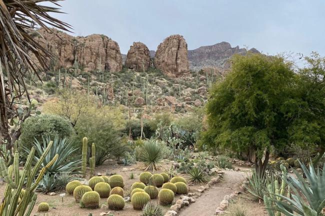 desert and mountains